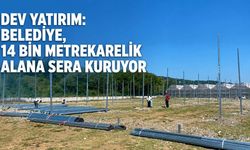 Dev yatırım: Belediye, 14 bin metrekarelik alana sera kuruyor