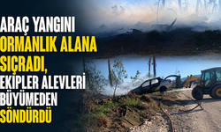 Araç yangını ormanlık alana sıçradı, ekipler alevleri büyümeden söndürdü