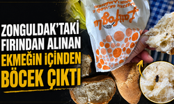 Zonguldak’taki fırından alınan ekmeğin içinden böcek çıktı