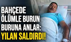 Bahçede ölümle burun buruna anlar: Yılan saldırdı!