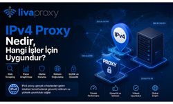 IPv4 Proxy Nedir, Hangi İşler İçin Uygundur?