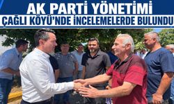 AK Parti yönetimi Çağlı Köyü'nde incelemelerde bulundu
