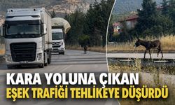 Kara yoluna çıkan eşek trafiği tehlikeye düşürdü