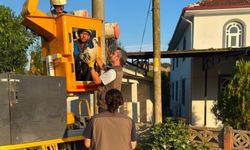 Elektrik direğindeki yuvada sahipsiz kalan yavru leyleklere şefkat eli