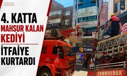 4. katta mahsur kalan kediyi itfaiye kurtardı