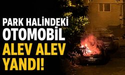 Park halindeki otomobil alev alev yandı!