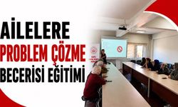 Ailelere problem çözme becerisi eğitimi