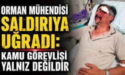Orman Mühendisi saldırıya uğradı: Kamu görevlisi yalnız değildir