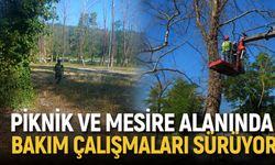 Piknik ve mesire alanında bakım çalışmaları sürüyor