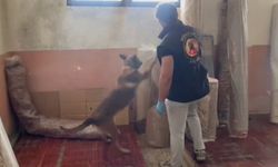 19 ayrı noktada eş zamanlı narkotik operasyonu: 15 gözaltı