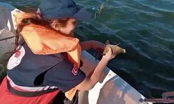Barajda 2 bin metre ağ ele geçirildi, 108 balık tekrar suyla buluşturuldu