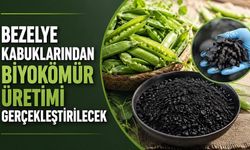 Bezelye kabuklarından biyokömür üretimi gerçekleştirilecek
