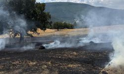 Balya makinesinden çıkan kıvılcımlar yangına neden oldu