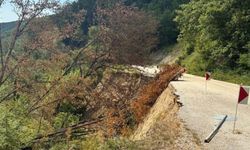 Heyelan nedeniyle bu yol 1 aydır kapalı