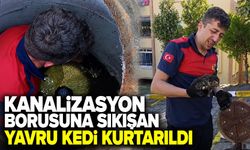 Kanalizasyon borusuna sıkışan yavru kedi kurtarıldı
