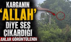 Karganın 'Allah' diye ses çıkardığı anlar görüntülendi