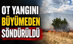 Ot yangını büyümeden söndürüldü