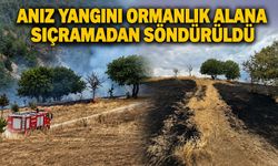 Anız yangını ormanlık alana sıçramadan söndürüldü