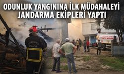 Odunluk yangınına ilk müdahaleyi jandarma ekipleri yaptı