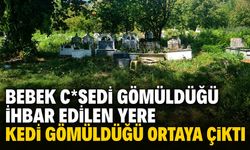 Bebek c*sedi gömüldüğü ihbar edilen yere kedi gömüldüğü ortaya çıktı