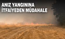 Anız yangına itfaiyeden müdahale