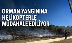 Orman yangınına helikopterle müdahale ediliyor