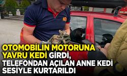 Otomobilin motoruna yavru kedi girdi, telefondan açılan anne kedi sesiyle kurtarıldı