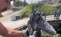 Çalıların arasına sıkışan balıkçıl kuşun imdadına itfaiye yetişti