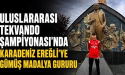 Uluslararası Tekvando Şampiyonası'nda Zonguldak'a gümüş madalya gururu