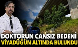 Doktorun cansız bedeni viyadüğün altında bulundu