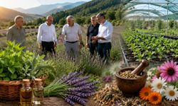 Tıbbi ve aromatik bitkilerde katma değerli üretime yakın takip
