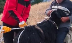 Çukurda mahsur kalan keçiyi itfaiye ekipleri kurtardı