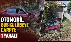 Otomobil boş kulübeye çarptı: 1 yaralı