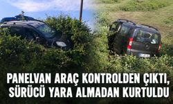 Panelvan araç kontrolden çıktı, sürücü yara almadan kurtuldu