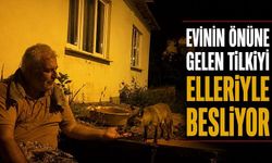 Evinin önüne gelen tilkiyi elleriyle besliyor