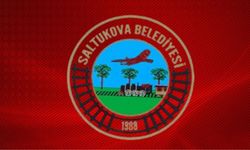 Saltukova Belediye Başkanlığı yol kaplama malzemeleri satın alımı
