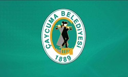 Saltukova Belediye Başkanlığı yol kaplama malzemeleri satın alımı