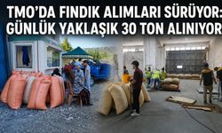 TMO’da fındık alımları sürüyor: Günlük yaklaşık 30 ton alınıyor