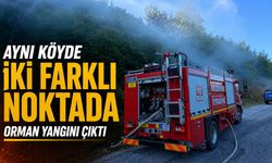 Aynı köyde iki farklı noktada orman yangını çıktı
