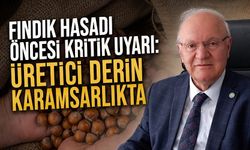 Fındık hasadı öncesi kritik uyarı: Üretici derin karamsarlıkta