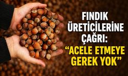 Fındık üreticilerine çağrı: “Acele etmeye gerek yok”