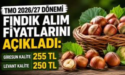 TMO 2026/27 dönemi fındık alım fiyatlarını açıkladı: Giresun kalite 255 TL, Levant 250 TL