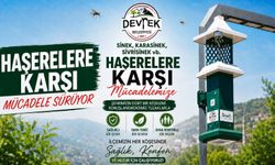 Haşerelere karşı mücadele sürüyor