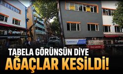 Tabela görünsün diye ağaçlar kesildi!