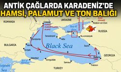 Antik çağlarda Karadeniz’de hamsi, palamut ve ton balığı