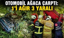 Otomobil ağaca çarptı: 1’i ağır 3 yaralı