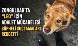 Zonguldak’ta “Leo” için adalet mücadelesi: Şüpheli suçlamaları reddetti