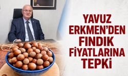 Yavuz Erkmen’den fındık fiyatlarına tepki