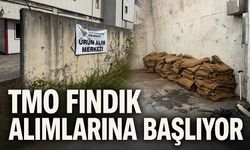 TMO fındık alımlarına başlıyor