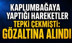 Kaplumbağaya yaptığı hareketler tepki çekmişti: Gözaltına alındı